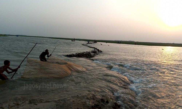 শাল্লায় ডুবলো আরো একটি হাওর