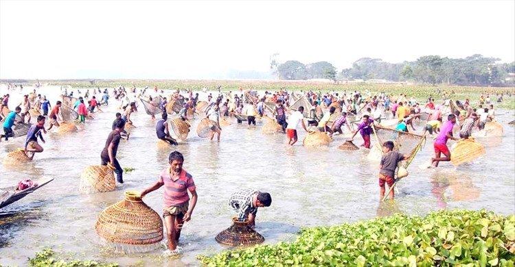 বিশ্বনাথের ‘গোয়াহরি বিলে’ পলো বাওয়া উৎসব