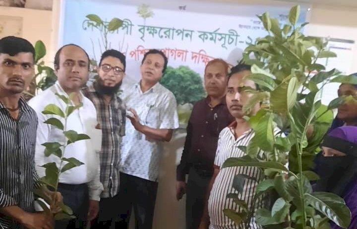 গ্রামীণ ব্যাংক জগন্নাথপুর এরিয়ার উদ্যোগে ১ লক্ষ ৩০ হাজার  চারাগাছ বিতরণ