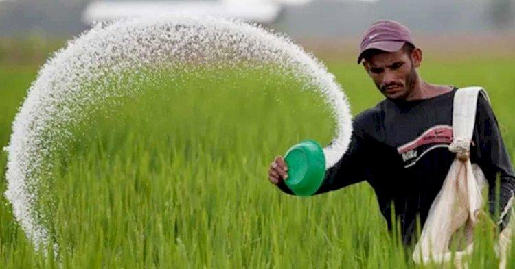 ফিরে দেখা: বিএনপির সীমাহীন লুটপাটে কৃষিখাত ছিল বিপর্যস্ত