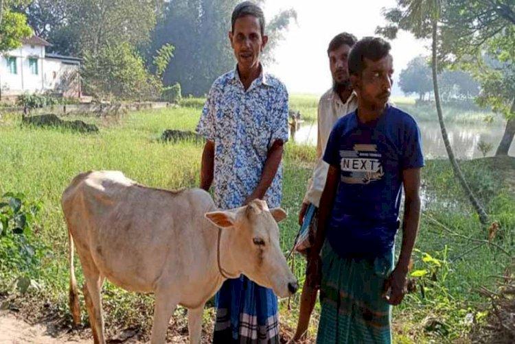 রোগীদের থেকে গরু-ছাগল উপহার নেন যে ডাক্তার!