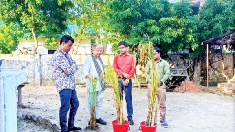 পঞ্চব্রীহি দেশব্যাপী ছড়িয়ে দিতে চান আবেদ চৌধুরী